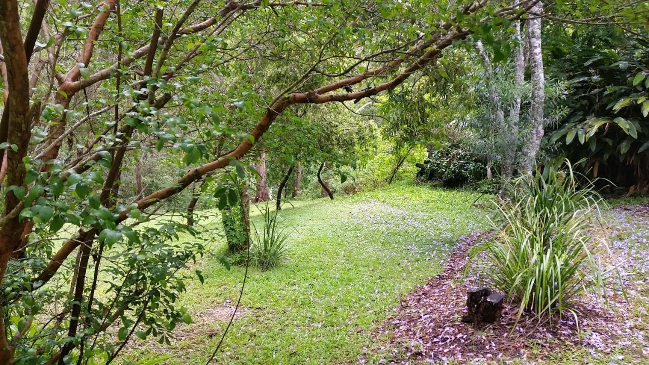 Forest View Bungalow Nambucca Heads Esterno foto