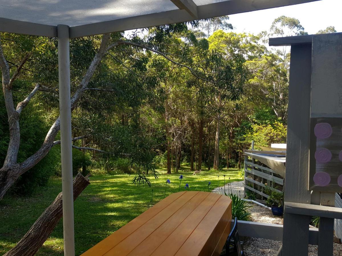Forest View Bungalow Nambucca Heads Esterno foto