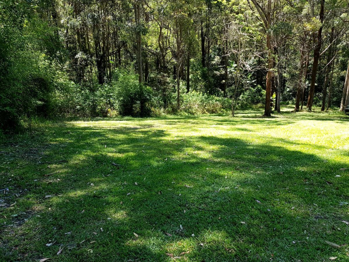 Forest View Bungalow Nambucca Heads Esterno foto