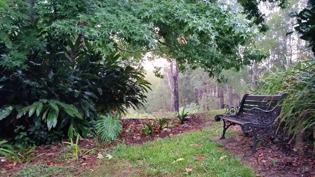 Forest View Bungalow Nambucca Heads Esterno foto