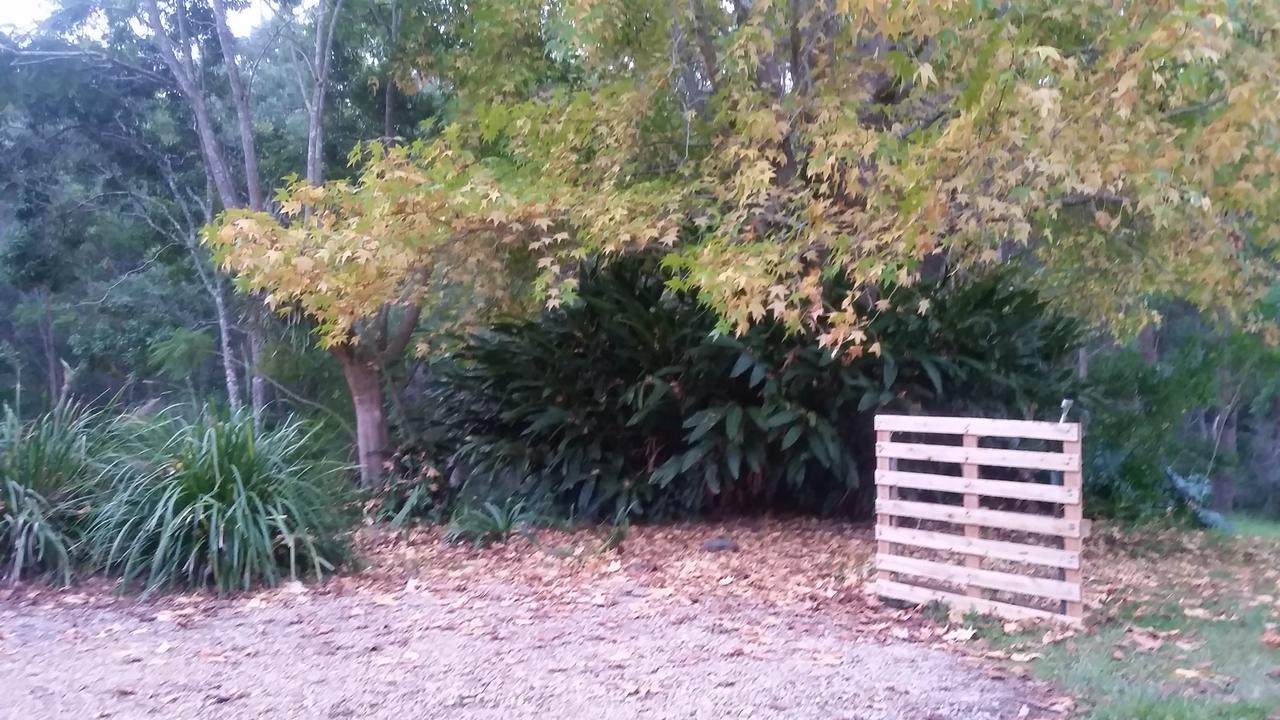 Forest View Bungalow Nambucca Heads Esterno foto