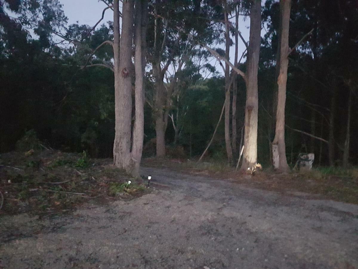 Forest View Bungalow Nambucca Heads Esterno foto